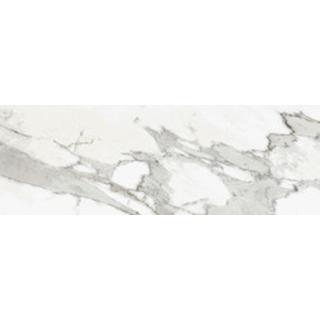 Bathroom tile Carrara Blanco Brillo 20cm x 60cm
